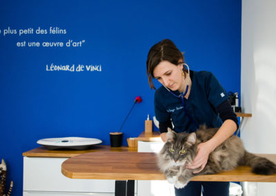 Julien-Clavier-photographe-entreprise-clinique-pyrenees-atlantique