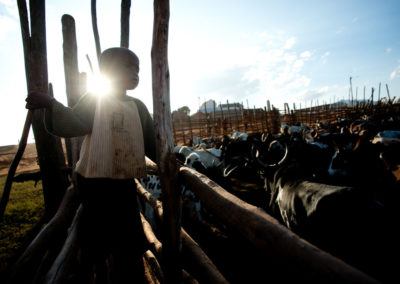 julien-clavier-photo-reportage